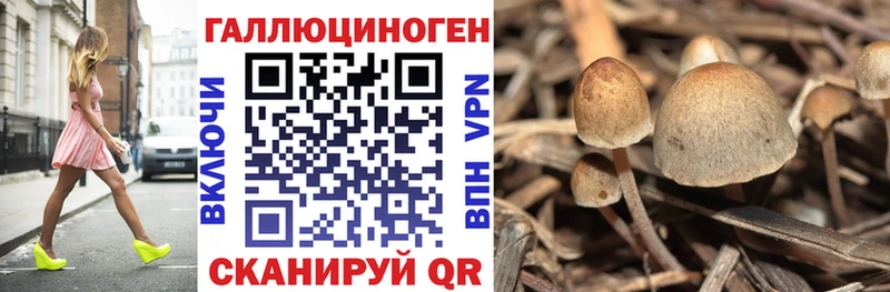 Галлюциногенные грибы мицелий  Старая Русса 